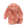 Jellycat Bashful Sorrel Bunny 18cm X 9cm X 8cm 1 Jellycat Bashful Sorrel Bunny 18cm X 9cm X 8cm -JELLYCAT Winkel BAS3SOR 64676 e1719407011125 1