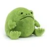 Jellycat Ricky Rain Frog Large 25 X 30 Cm -JELLYCAT Winkel RR3F e1641997519125