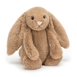 Jellycat Knuffel Konijn Bashful Biscuit Bunny