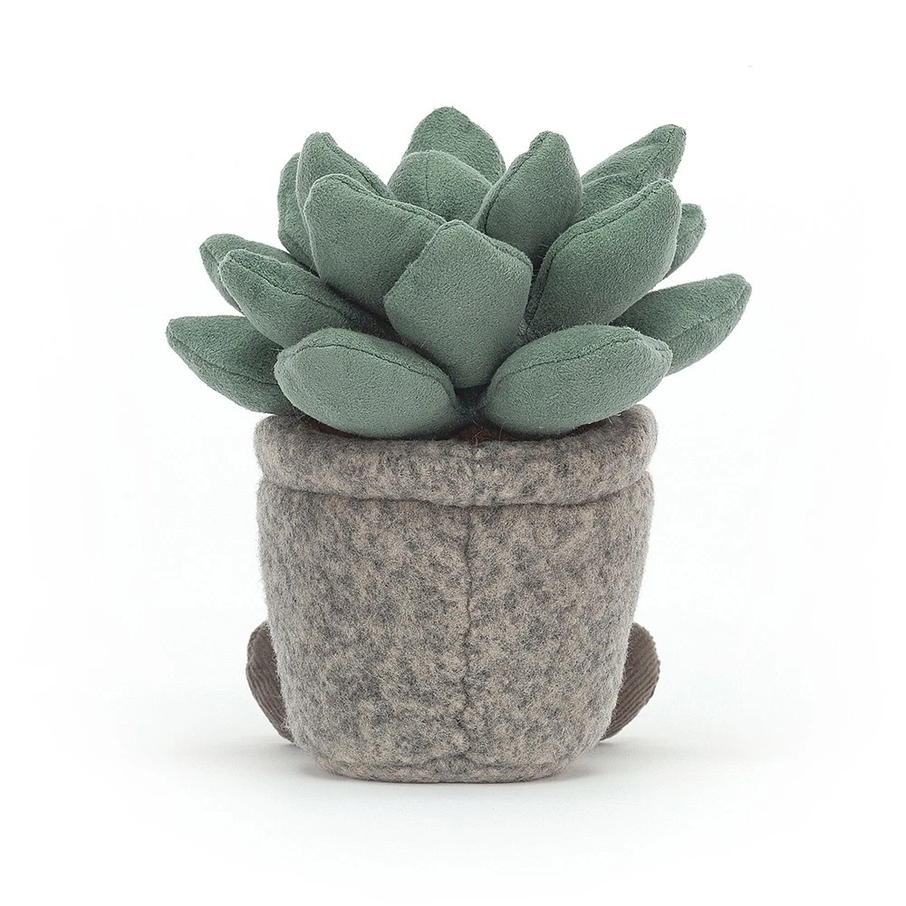 Jellycat Knuffel Plant Silly Succulent Azulita 5 Jellycat Knuffel Plant Silly Succulent Azulita - Afbeelding 3